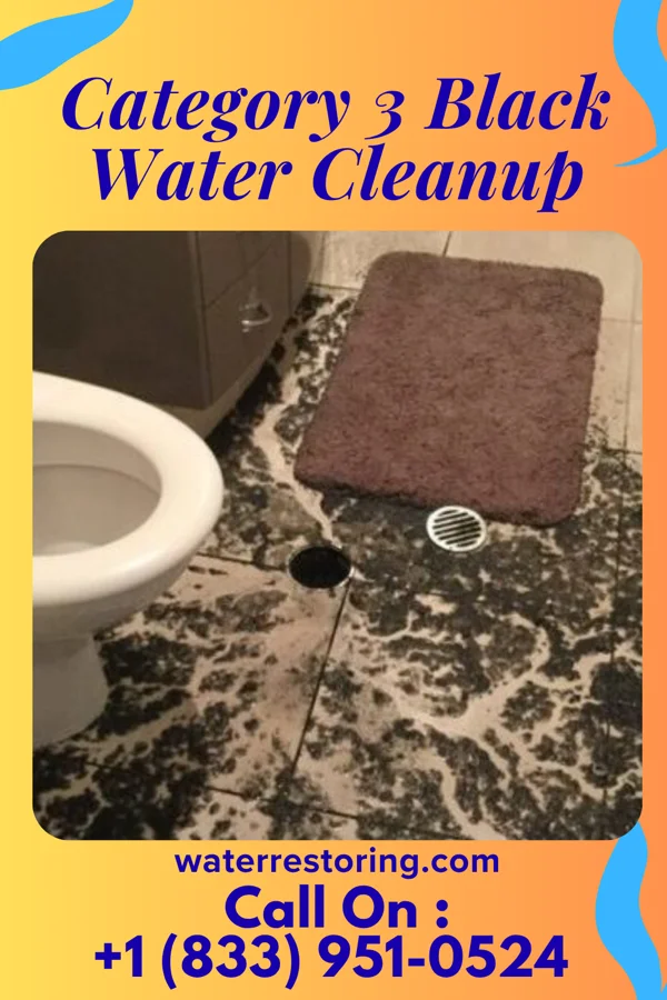 Category 3 Black Water Cleanup in Pottawattamie Park, IN