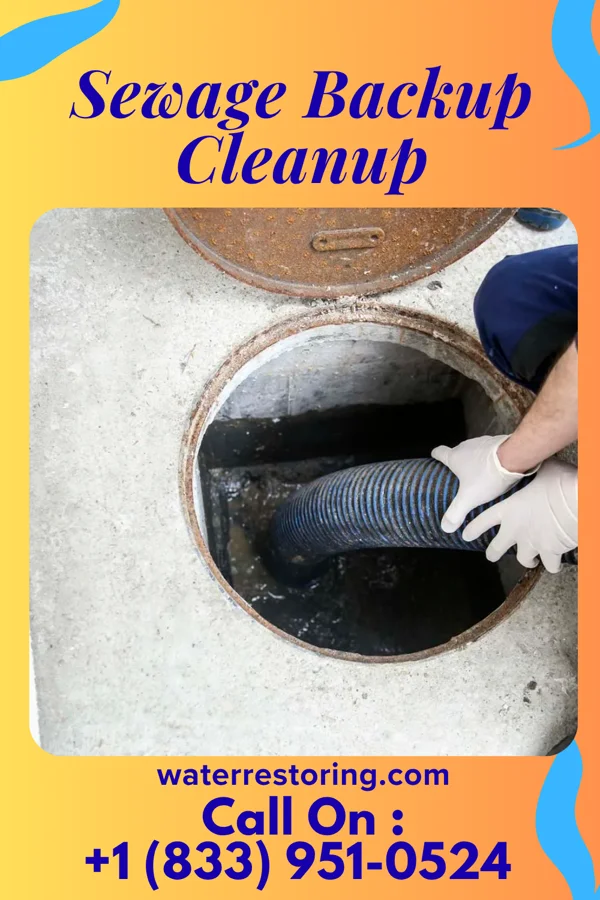 Sewage Backup Cleanup in Pottawattamie Park, IN