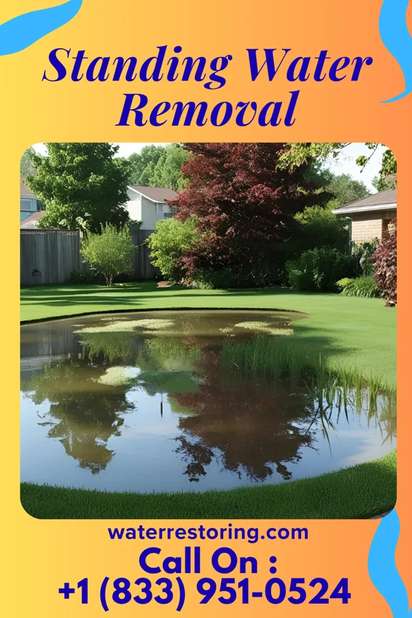 Standing Water Removal in Pottawattamie Park, IN